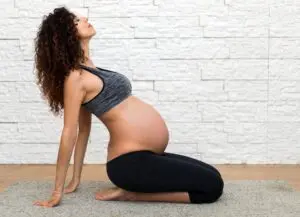 Pregnant woman exercising. 